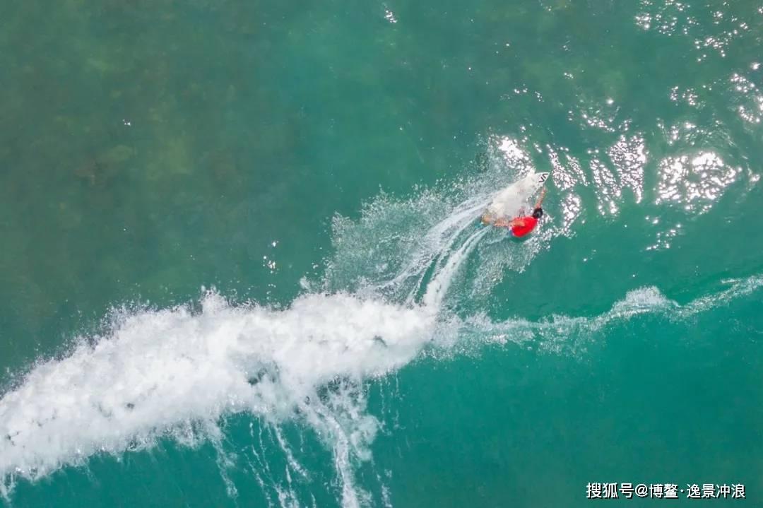 怪物大入侵中文版