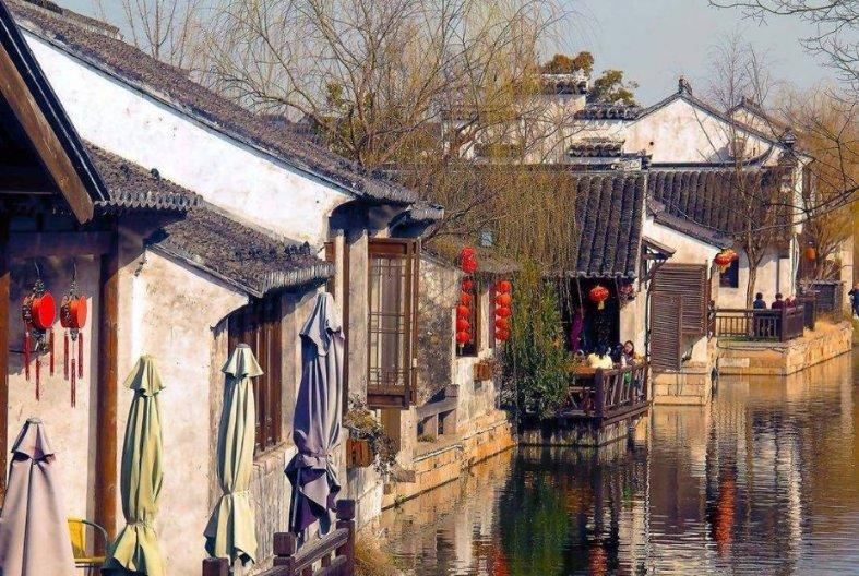 奔跑的兔子